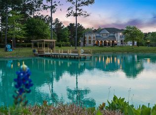 15212 Micrea Rd, Plantersville, TX 77363