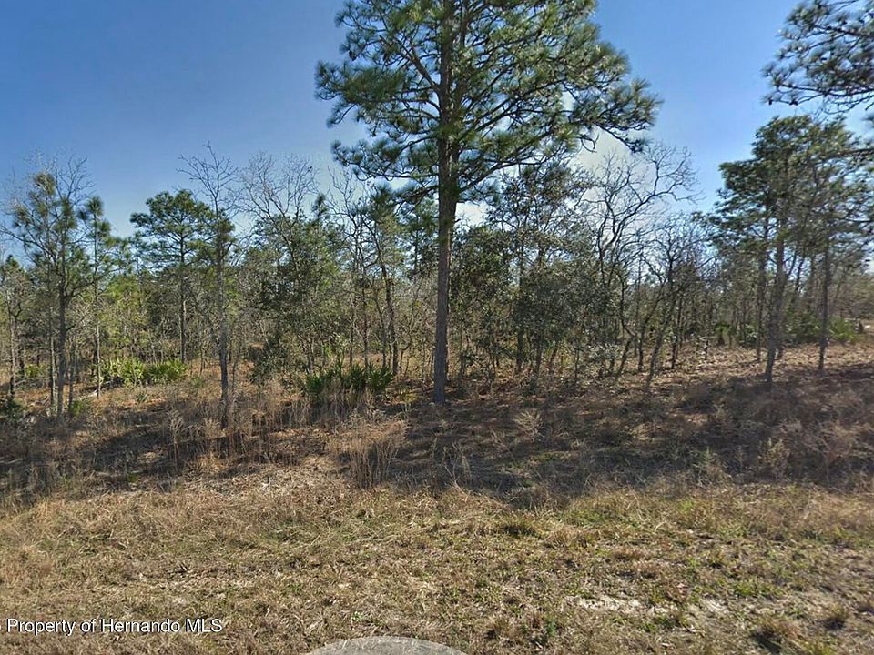 2nd image of 16382 Kingbird Rd