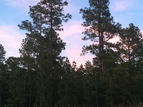 5th image of 445 Morganwood Drive LOT 41 PH3B (7741)