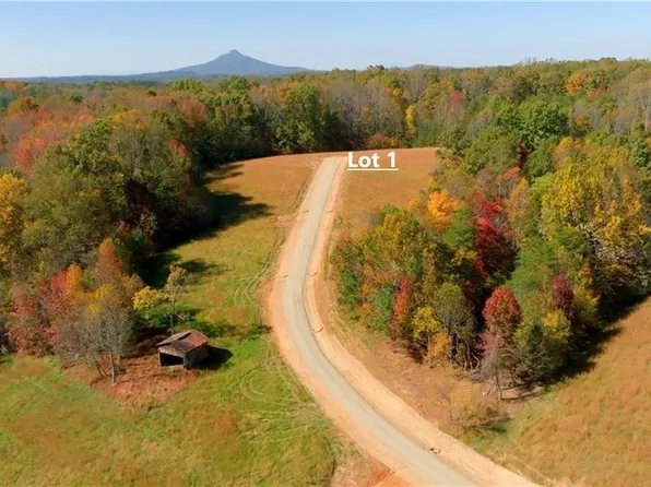 1 Thomas Farm Rd #1, King, NC 27021