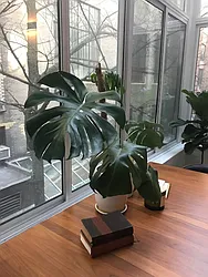 Rented by TurfNYC