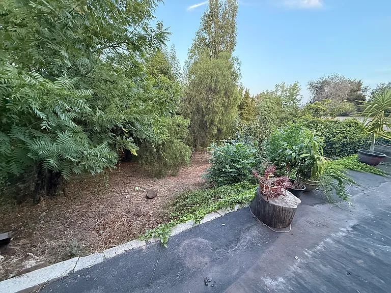 850 Clark Rd #N — Photo 20
