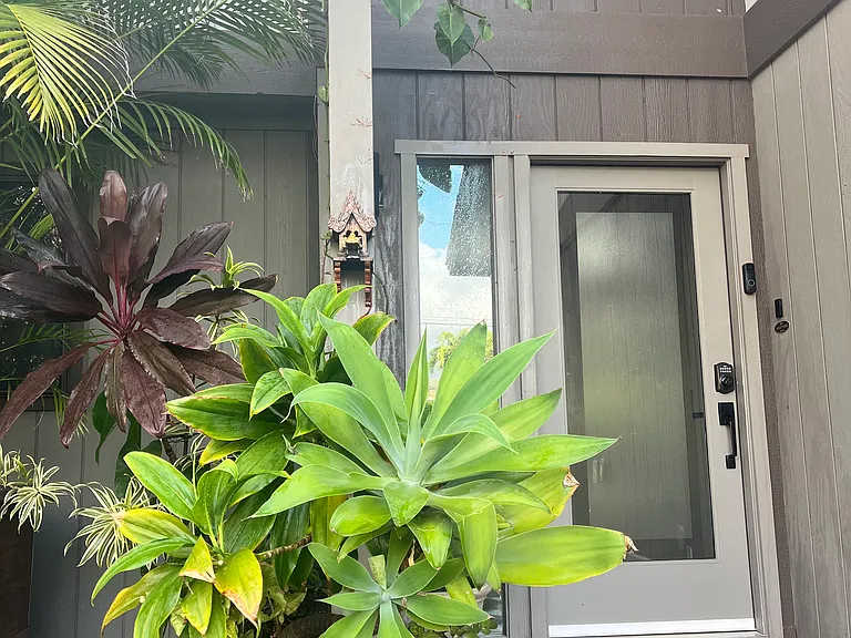 2824 Ohina St — Photo 23