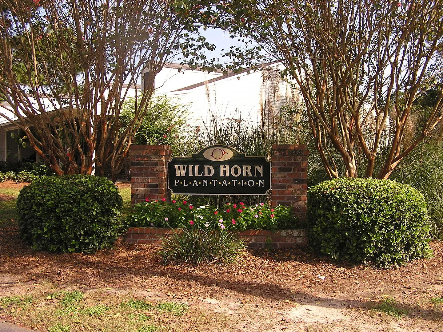 Wild Horn Plantation — Photo 2
