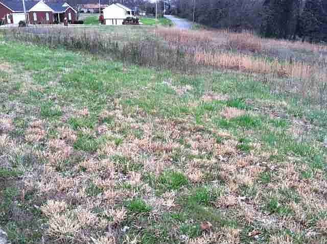 1st image of 4963 Cedar Cove Dr