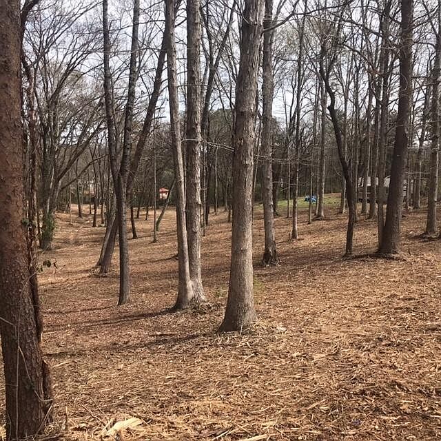 2nd image of 0 Tell St