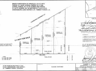 PARCEL A1 Highway 21, Bush, LA 70431