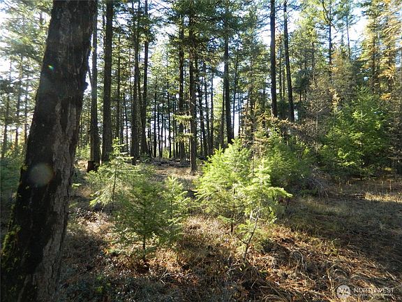 2nd image of 0 TBD Summit Lake Road