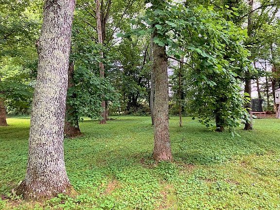4th image of 446 Harpeth Meadows Dr