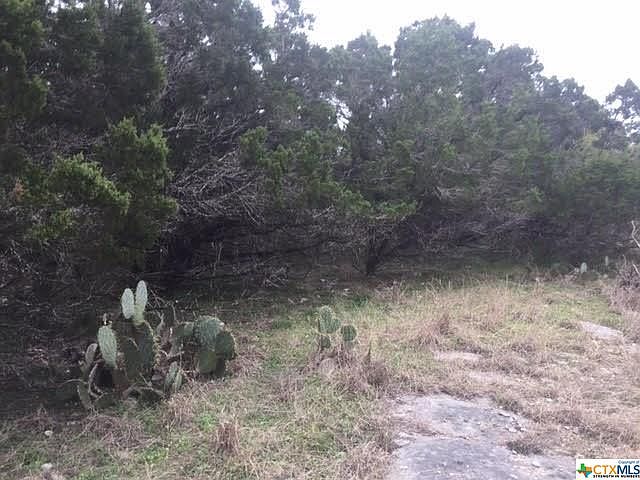 1st image of 227 Paradise Hls