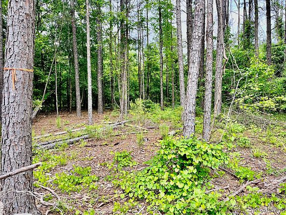 5th image of 2367 Mitchell Creek Rd