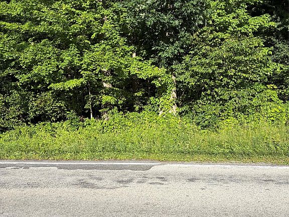 2nd image of Wells Road