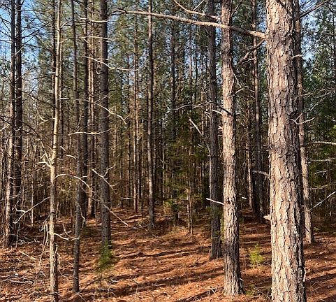 5th image of Straightstone Rd