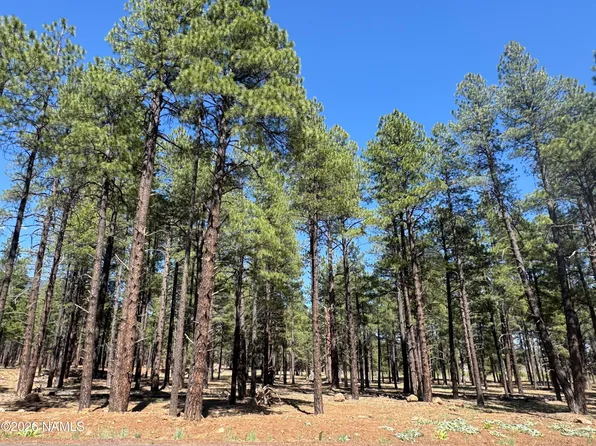 7690 W Taylor Springs Ln, Flagstaff, AZ 86001