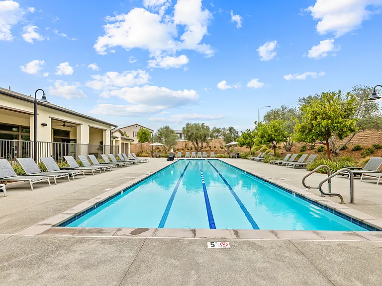 39490 Verbena Way — Photo 47