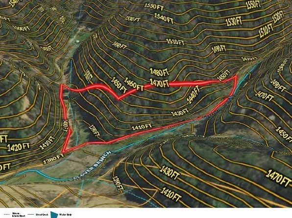 9999 Paint Rock Rd, Hot Springs, NC 28743