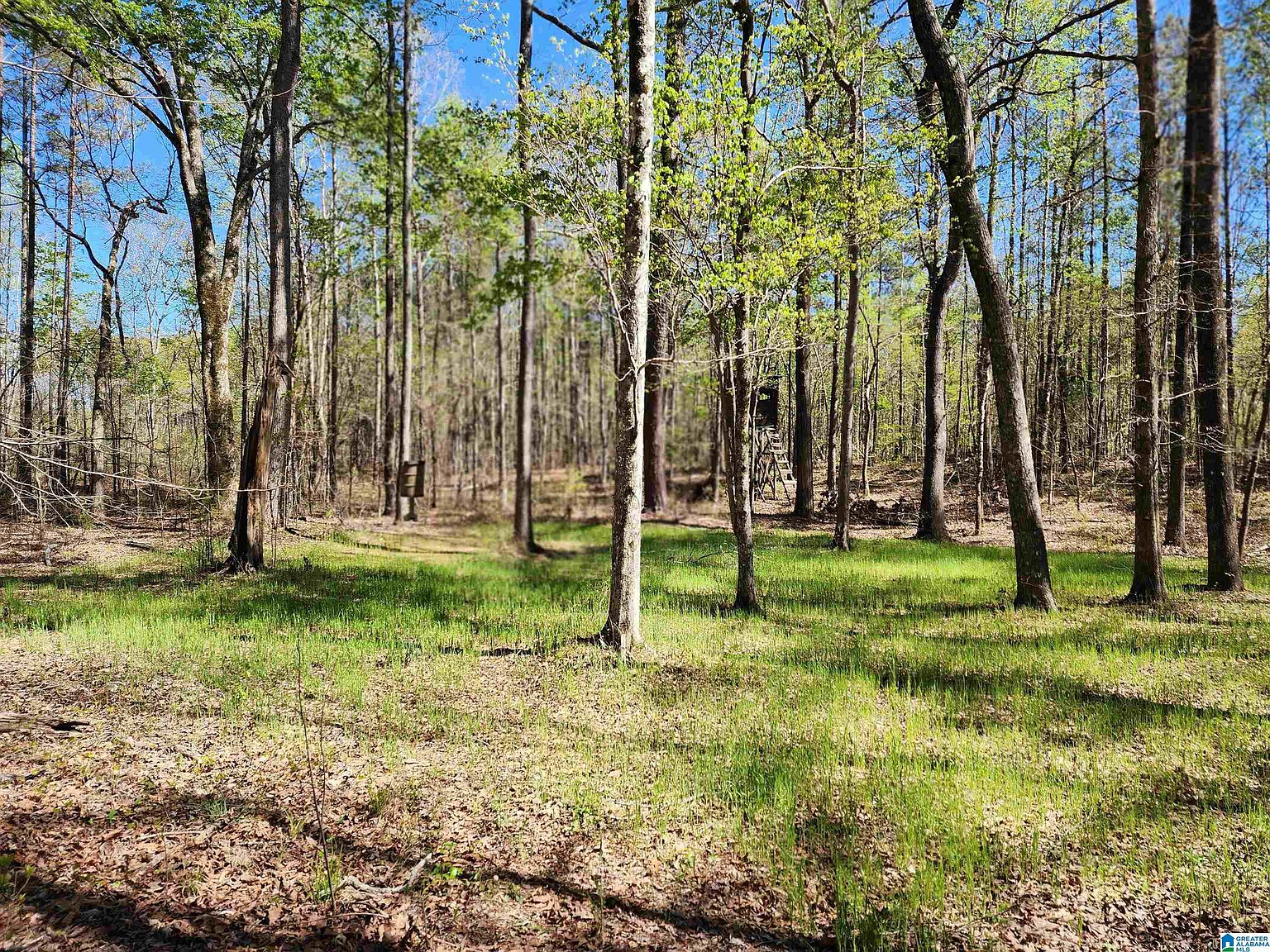 8916 County Road 55, Weogufka, AL 35183 MLS 21382149 Zillow
