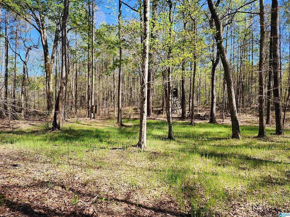 8916 County Road 55, Weogufka, AL 35183 MLS 21382149 Zillow