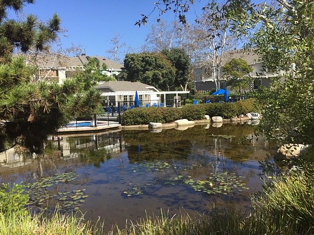 View from the condo of pond and pool