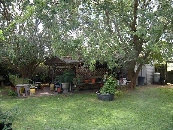 Large trees with shade.