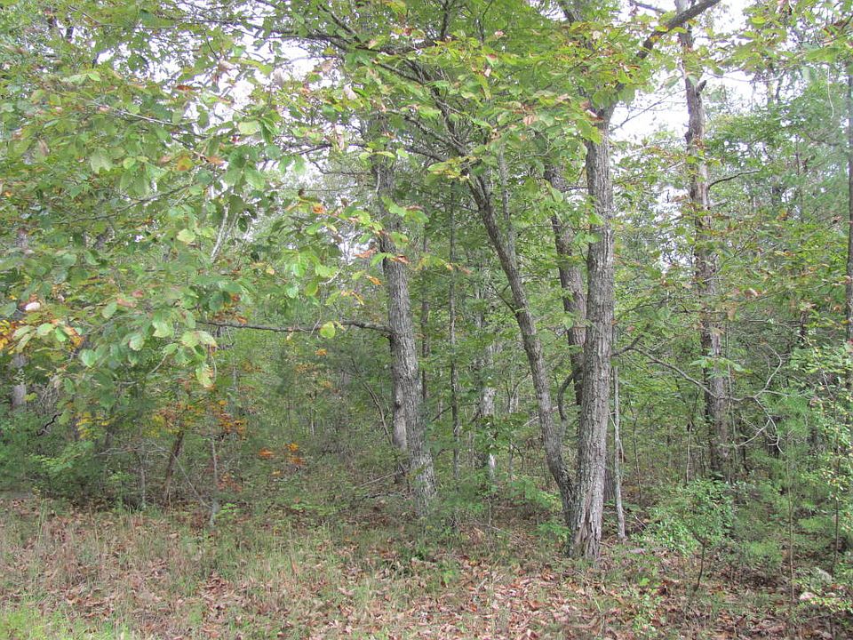 2nd image of 143 Liverpool Cir