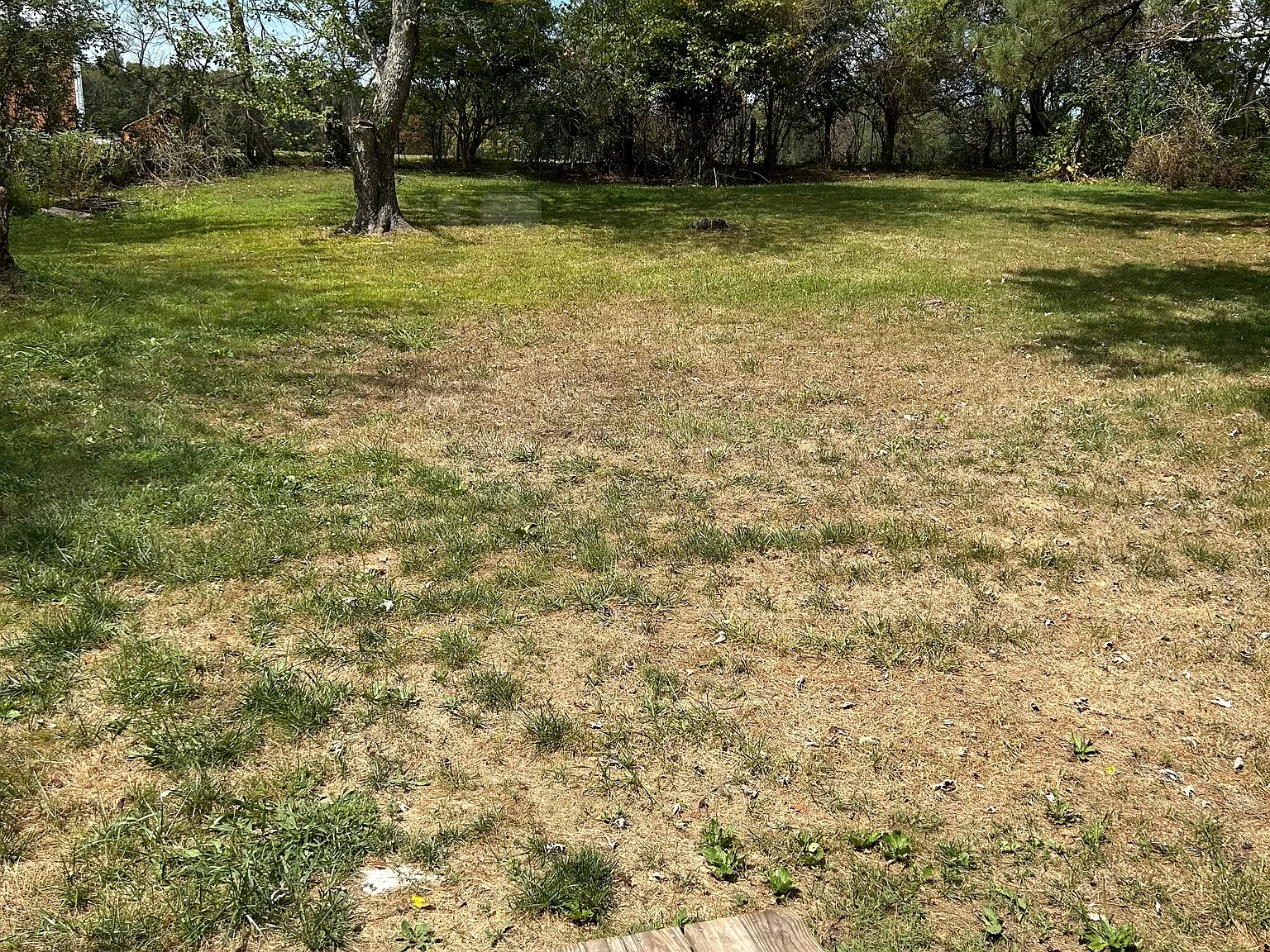 3 bed, 1.5 bath, 1100 sqft, $1,400 — Photo 2