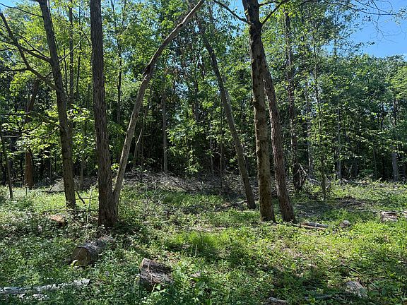 5th image of Deckards Run Rd
