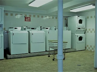 Rented by Voro New York