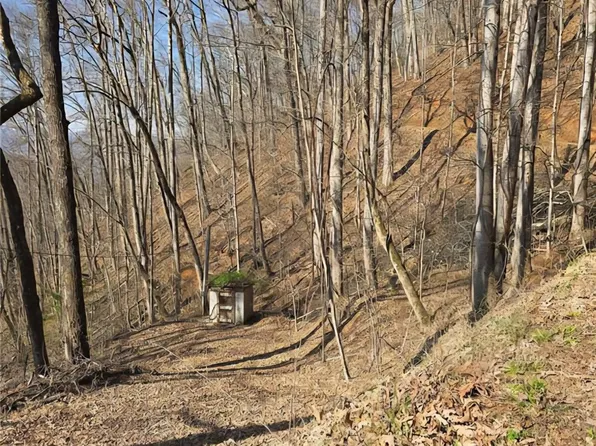 32 Black Mountain Rd, Cullowhee, NC 28723