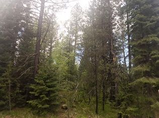 406 N Verita Rd, McCall, ID 83638