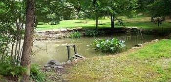 3rd image of 105 Hidden Valley Acres