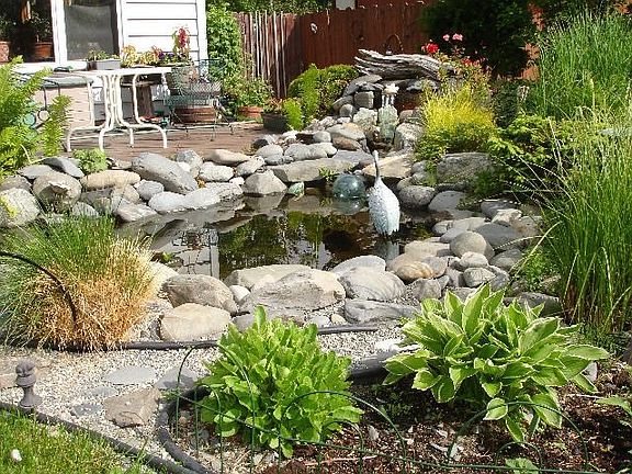 pond