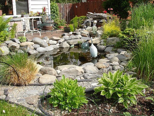 pond