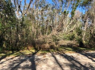 406 N 1st St, Satsuma, FL 32189