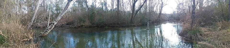 2nd image of 0 Whiting Acres Ln