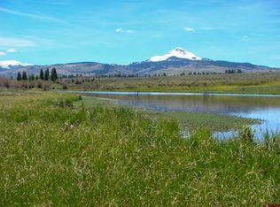 County Road 48l, Placerville, CO 81430