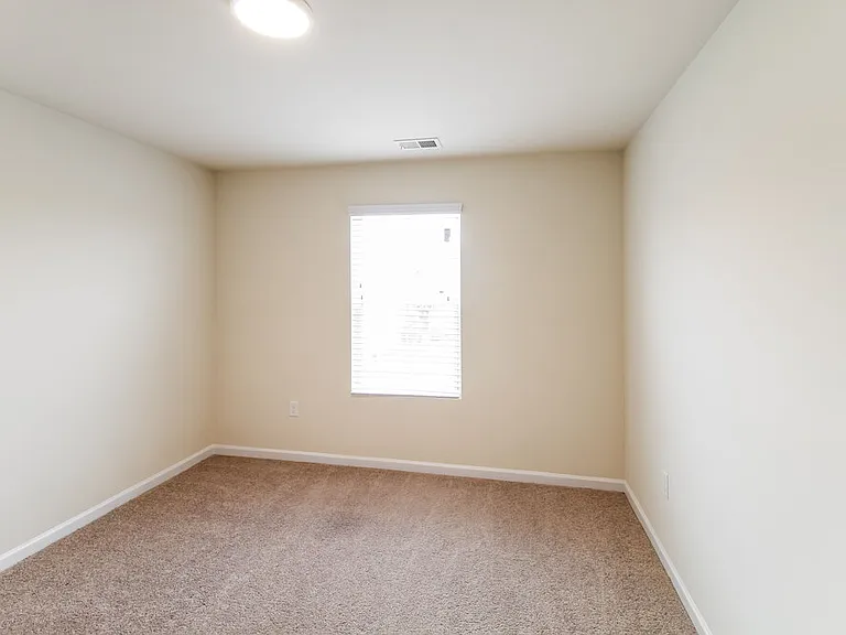 295 Hamilton Pointe Dr — Photo 13