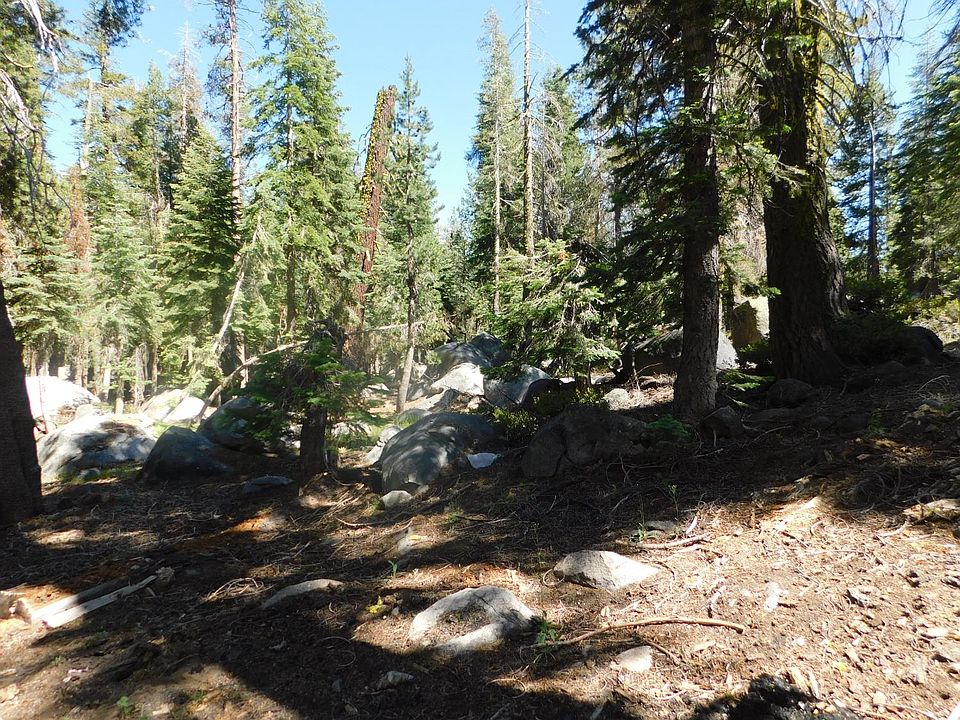 2nd image of Kitch Trl