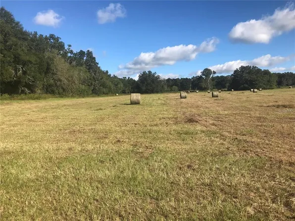 NW 32nd Ct #1, Reddick, FL 32686