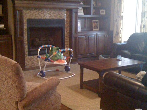 Propane Fireplace/Built-ins