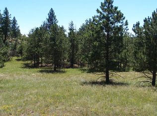 196 Apache Cir, Florissant, CO 80816