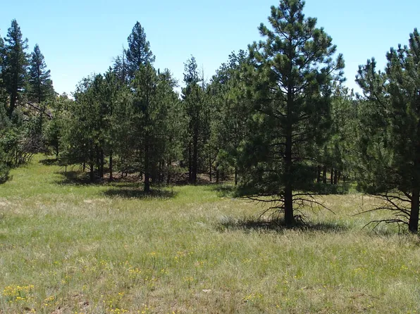 196 Apache Cir, Florissant, CO 80816