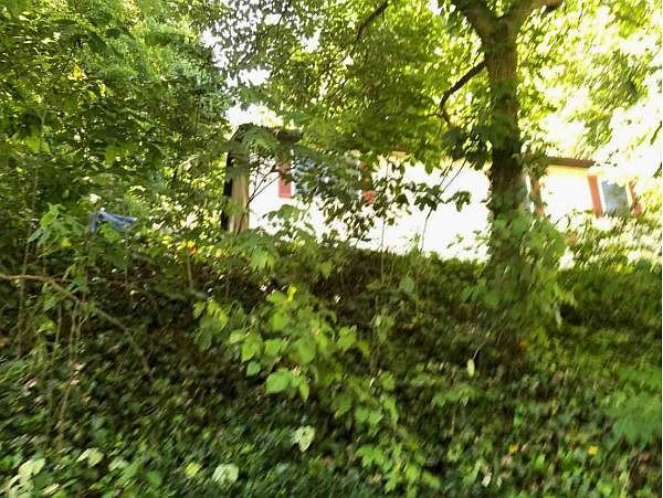 Property Rear View