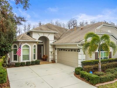 20944 Amanda Oak Ct, Land O Lakes, FL, 34638