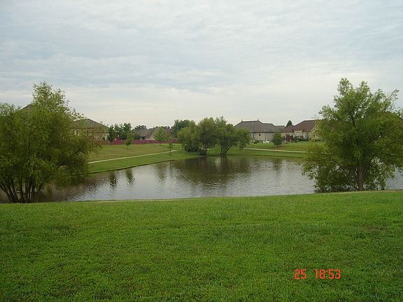 Back Yard - down to the lake