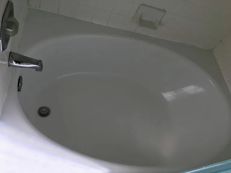 Master bathtub
