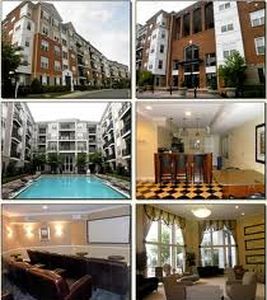 501 Hungerford Dr APT 308, Rockville, MD, 20850