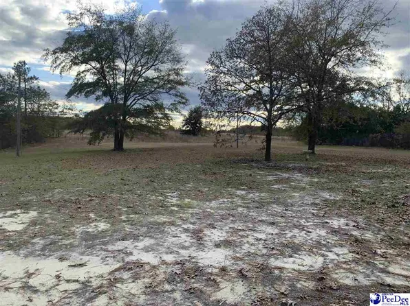 25674 Highway 151, Mc Bee, SC 29101