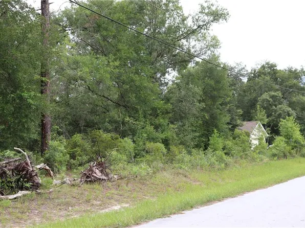 298 N Dugan Ave, Inverness, FL 34453