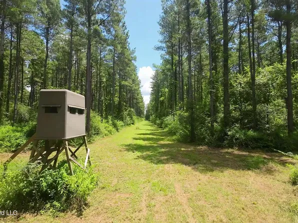 1026 Mount Olive Rd, Mount Olive, MS 39119